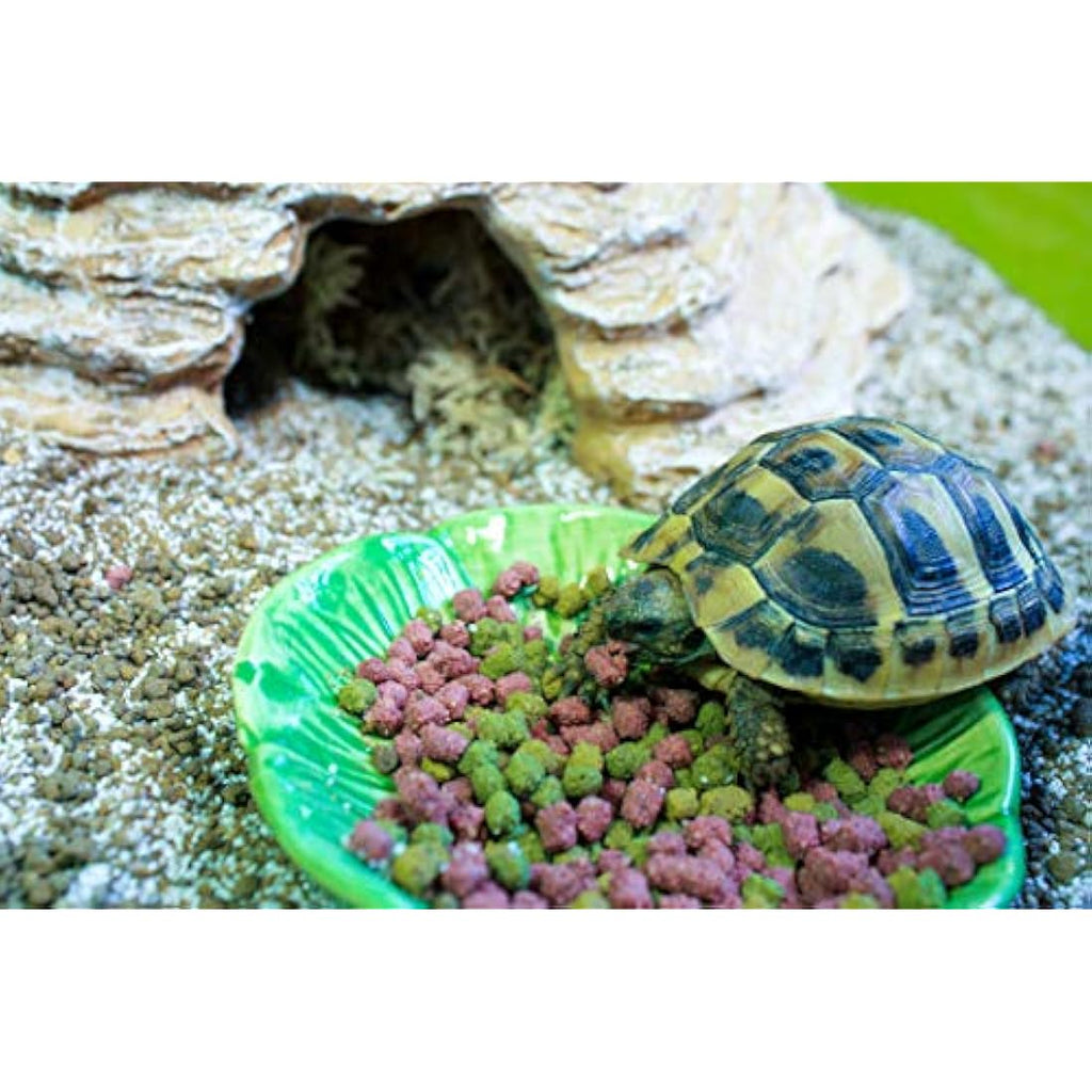 Komodo Tortoise Diet Fruit and Flower – High Fibre Holistic Food 2kg
