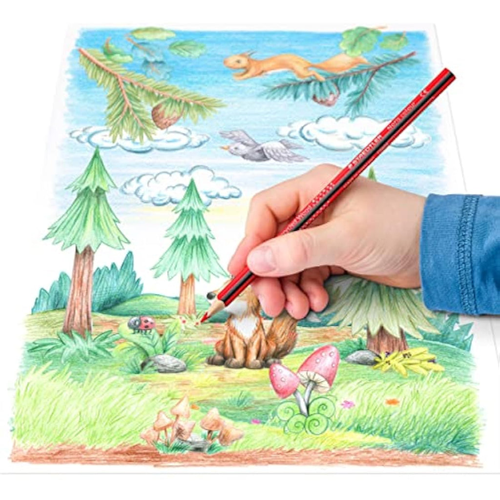 Staedtler Noris Colouring Pencils - 144 Pack Ergonomic Triangular Set