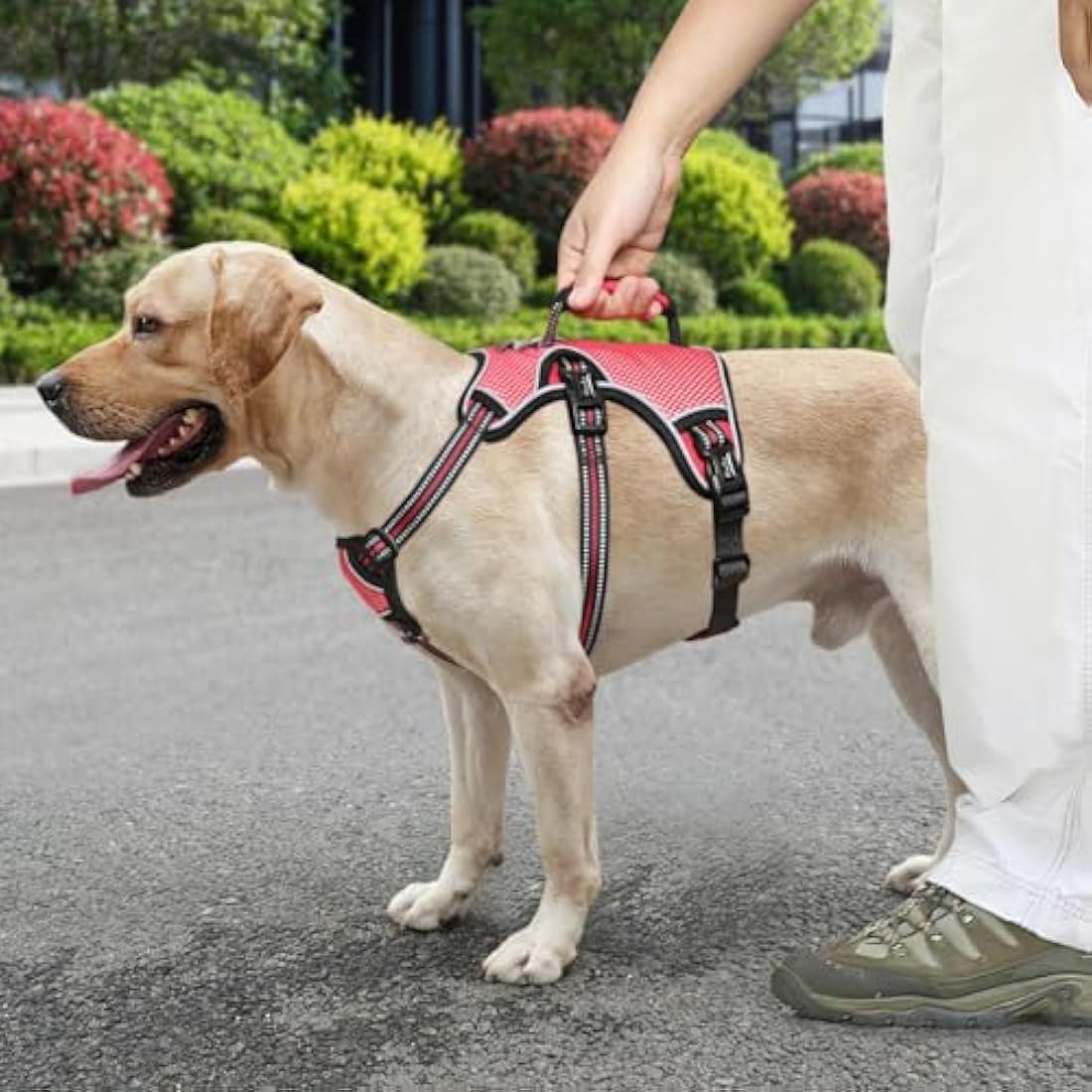 HEELE Escape Proof No Pull Dog Harness | Reflective Padded Vest - Red