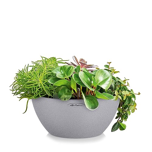 Lechuza Cubeto Stone 40 Self-Watering Planter | Stone Grey Plastic