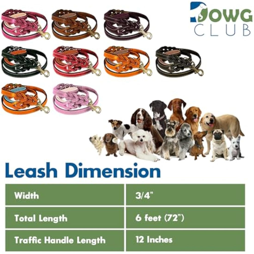 DowgClub 6' Leather Dog Leash | Dual Handle Braided Heavy Duty Lead - Tan