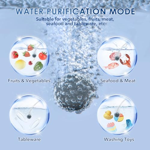 FELLAT 600mg/h Portable Ozone Generator | Multipurpose Water & Air Purifier