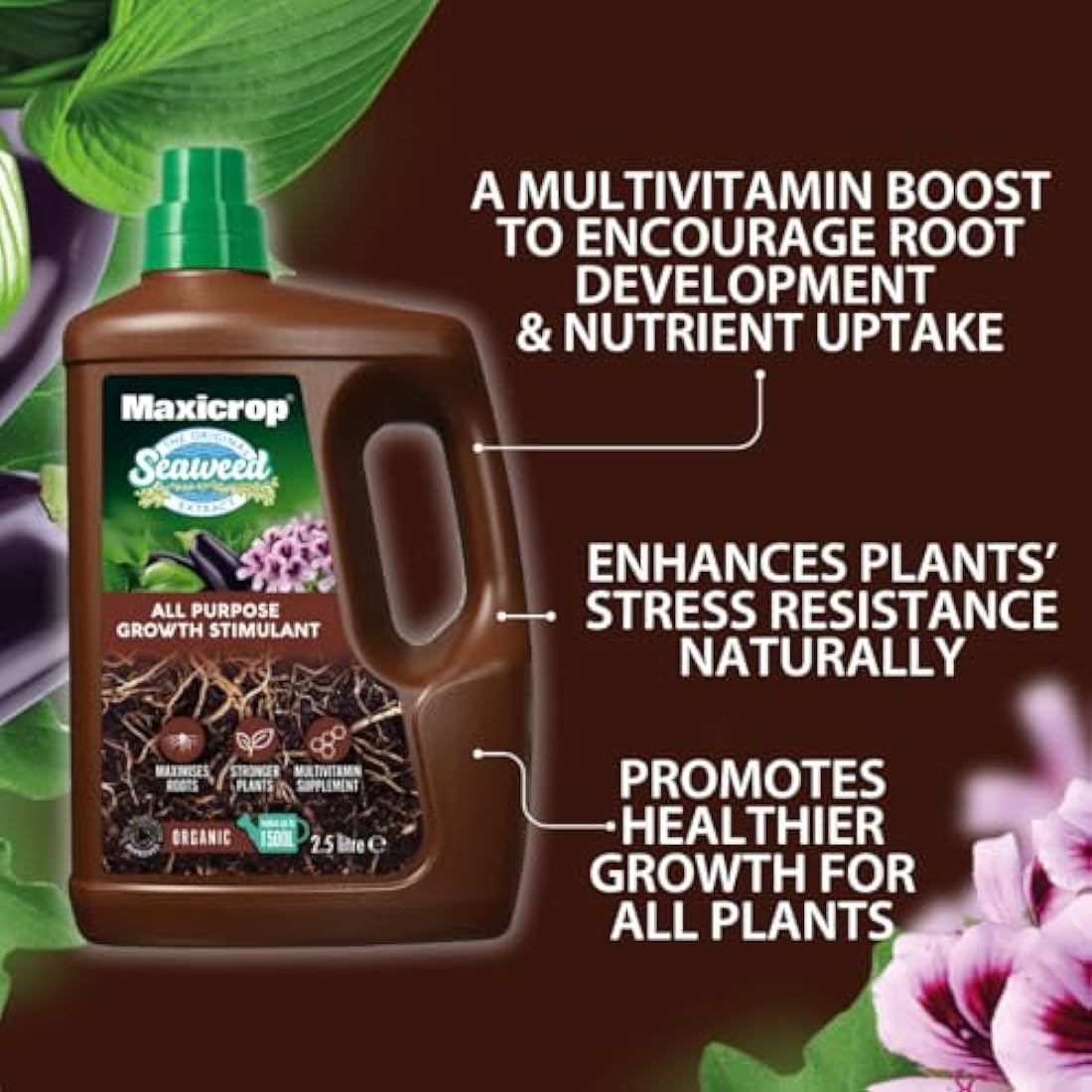 Maxicrop All Purpose Plant Growth Stimulant | Organic Seaweed – 2.5L