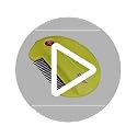 Zero In Electric Flea & Tick Killer Comb | Poison-Free Pet Treatment