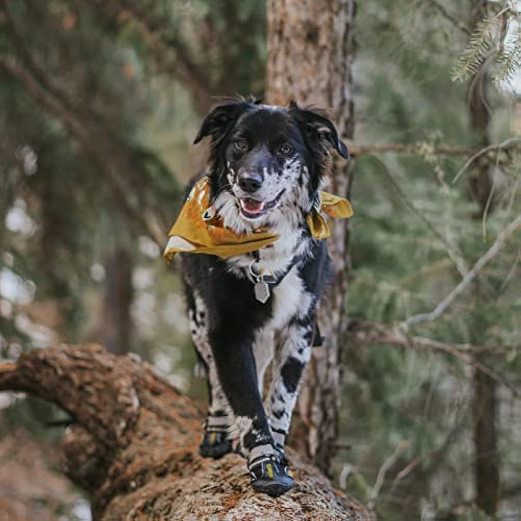 QUMY Waterproof Dog Boots – Anti-Slip Paw Protectors for Large Dogs