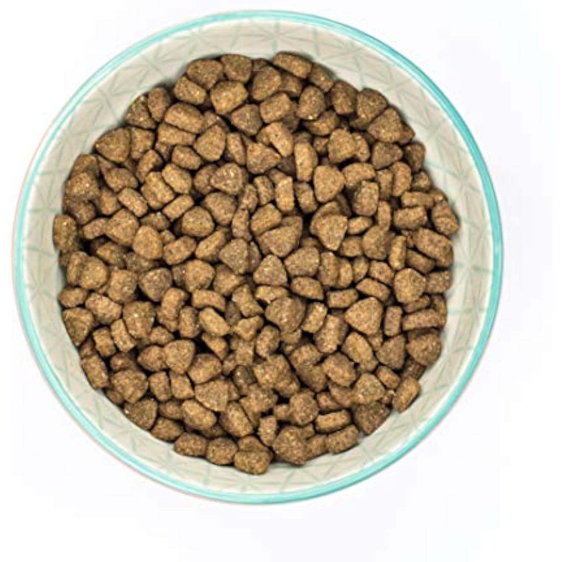 Burns Pet Nutrition Hypoallergenic Chicken & Brown Rice Cat Food - 5kg
