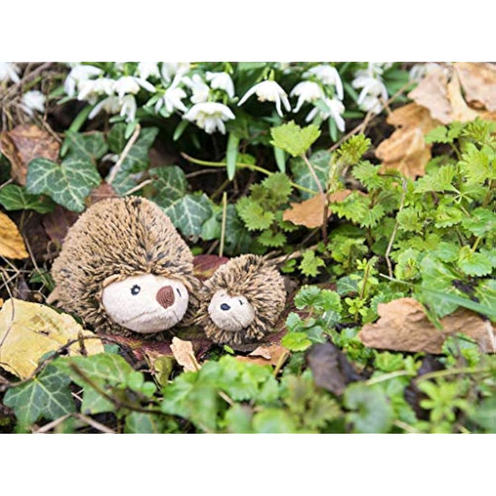 Apples to Pears Sew Me Up Hedgehog & Hoglet DIY Sewing Craft Kit