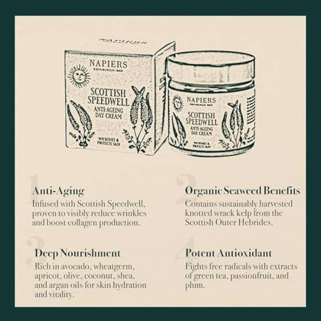 Napiers Speedwell Ageless Day Cream | Anti-Aging & Wrinkle Care | 60ml