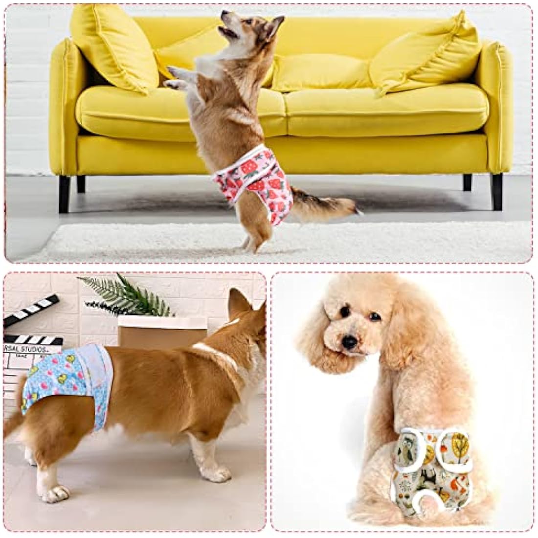 Medo Reusable Dog Diapers | 3-Pack Washable Female Puppy Wraps - XL