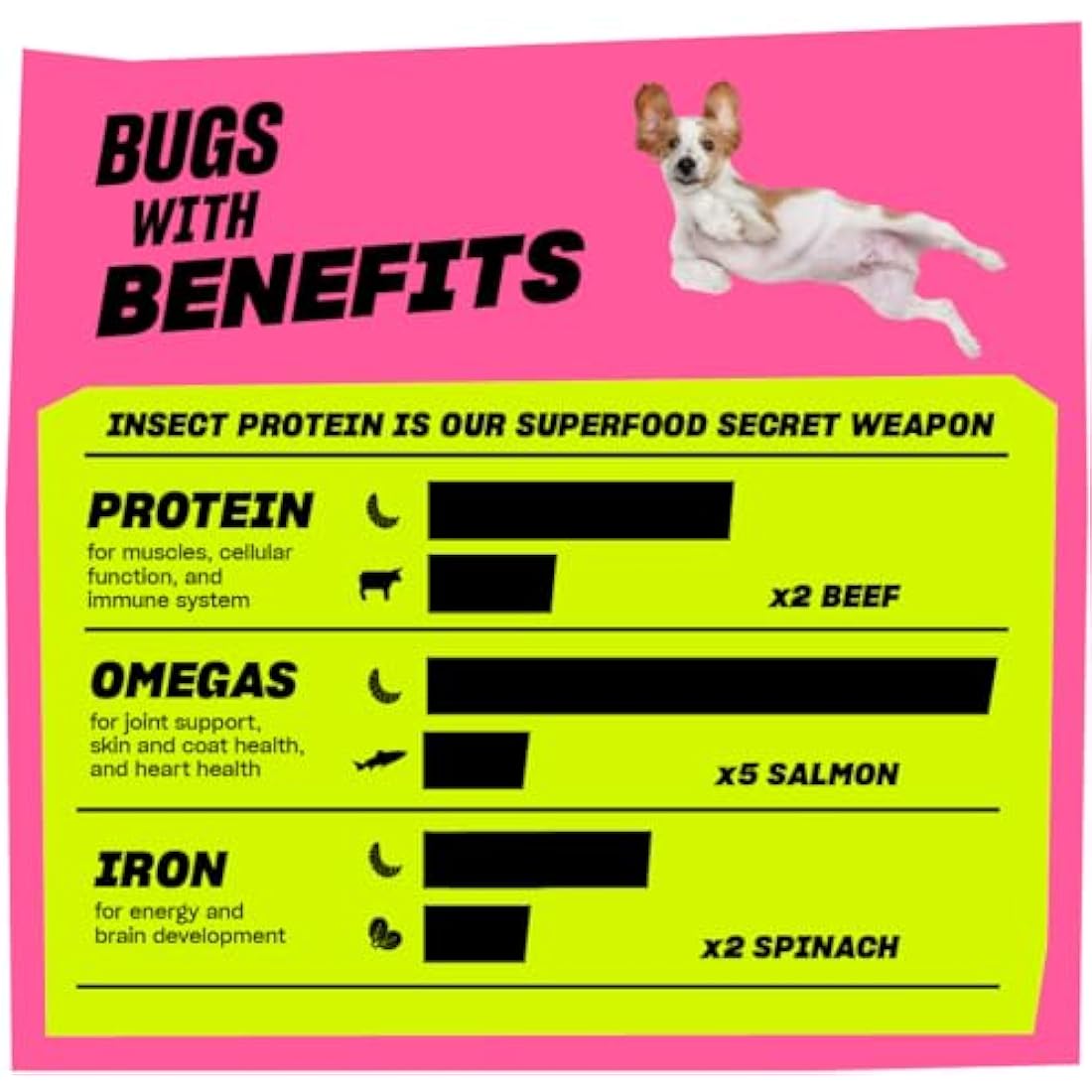 Grub Club Insect Protein Dog Treats – Grain Free Hypoallergenic (10x100g)