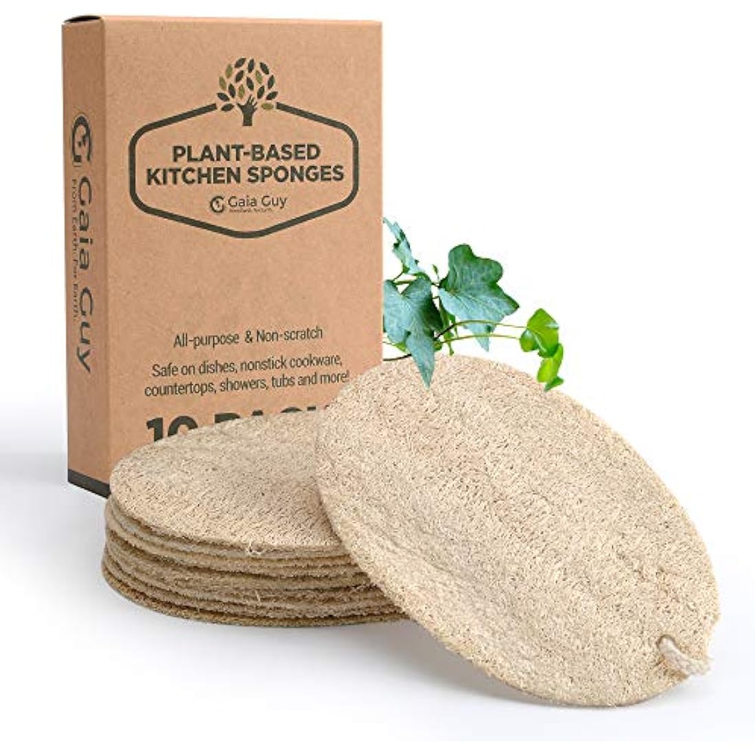 Jolof Store Natural Loofah Dish Sponges – 10 Pack Compostable Scourers
