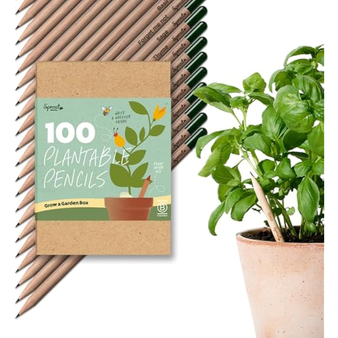SproutWorld Plantable Pencils | Grow a Garden Box | 100 Pack Bulk Wood HB