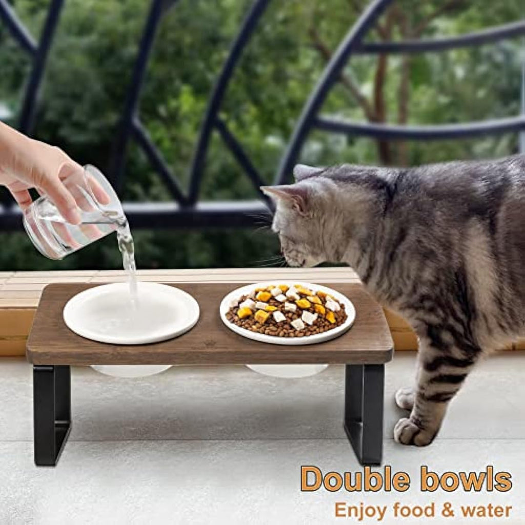 GUUSII HOME Elevated Cat Bowl – Tilted Ceramic Dishes with Bamboo Stand