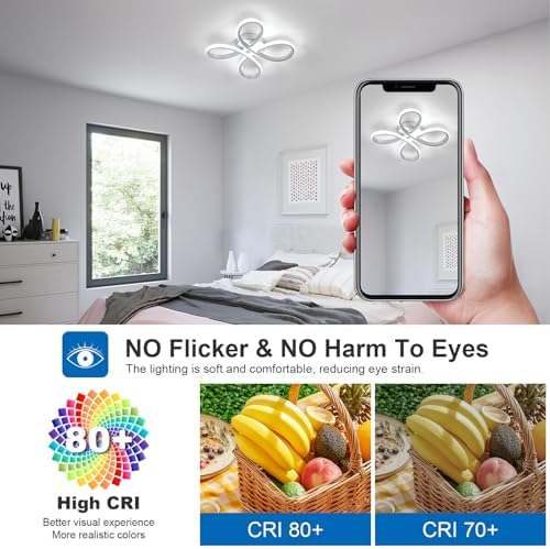 Dorlink Modern Flower LED Ceiling Light – 30W Silver Flush Mount, 6500K