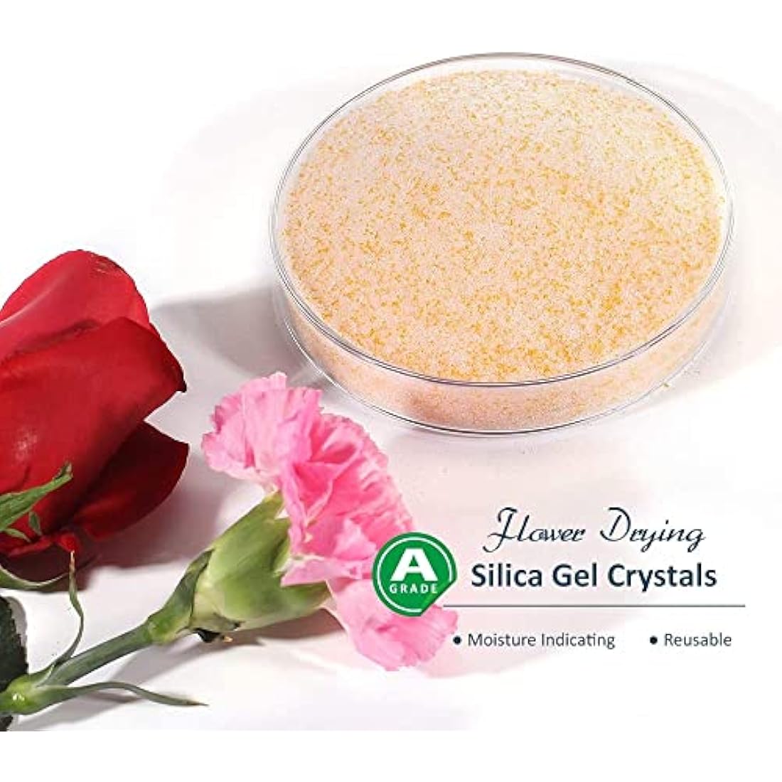 Wisedry 10 LBS Silica Gel Flower Drying Crystals - Color Indicating