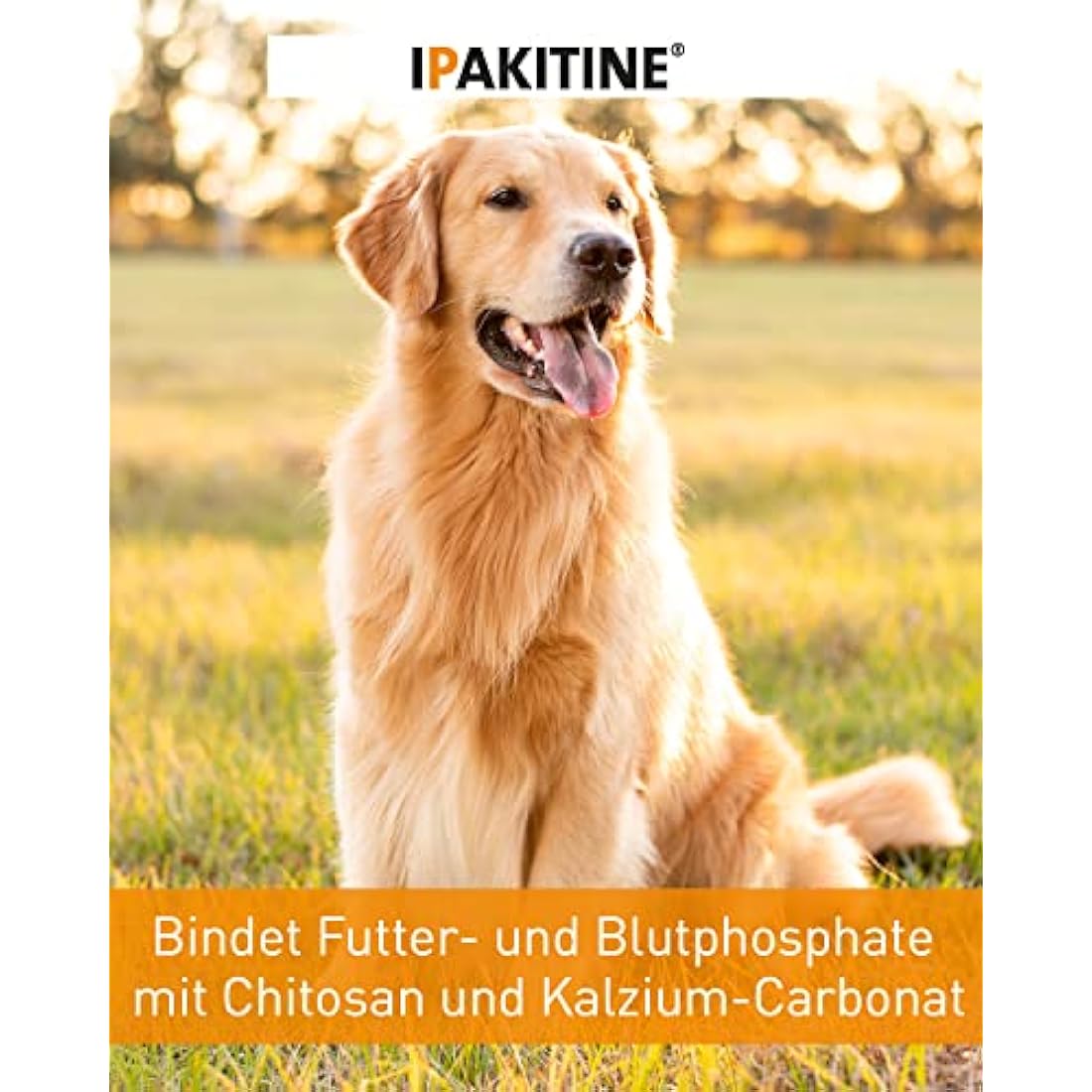 Vetoquinol Ipakitine Kidney Support Phosphate Reducer for Cats - 180g
