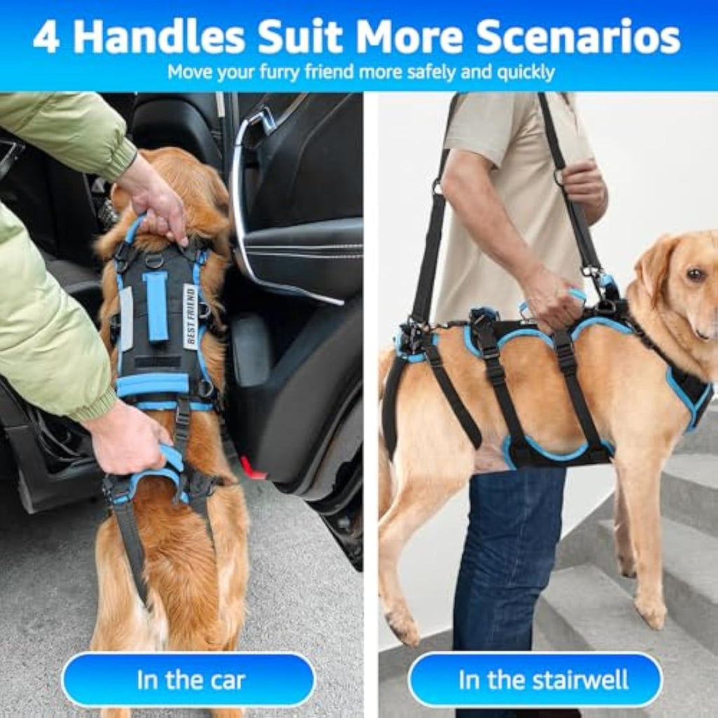 Lafoty Dog Lift Harness – Male Dog Mobility Support Sling for Large Dogs