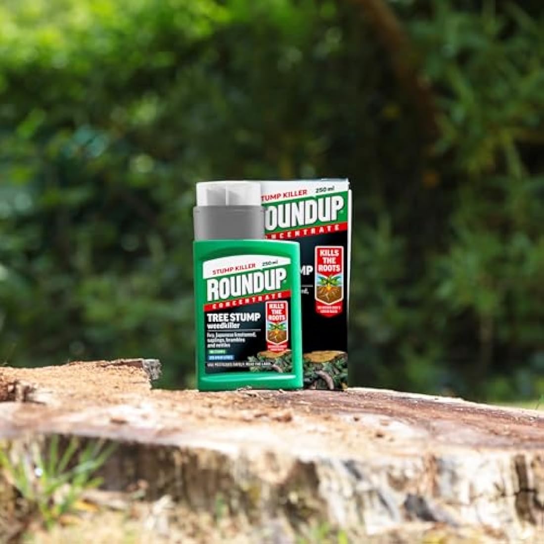 Roundup Tree Stump & Root Weedkiller | Super Concentrate 250ml