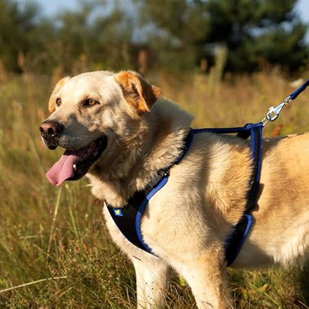 Ferplast Ergocomfort Large Dog Harness – Padded Nylon, Blue