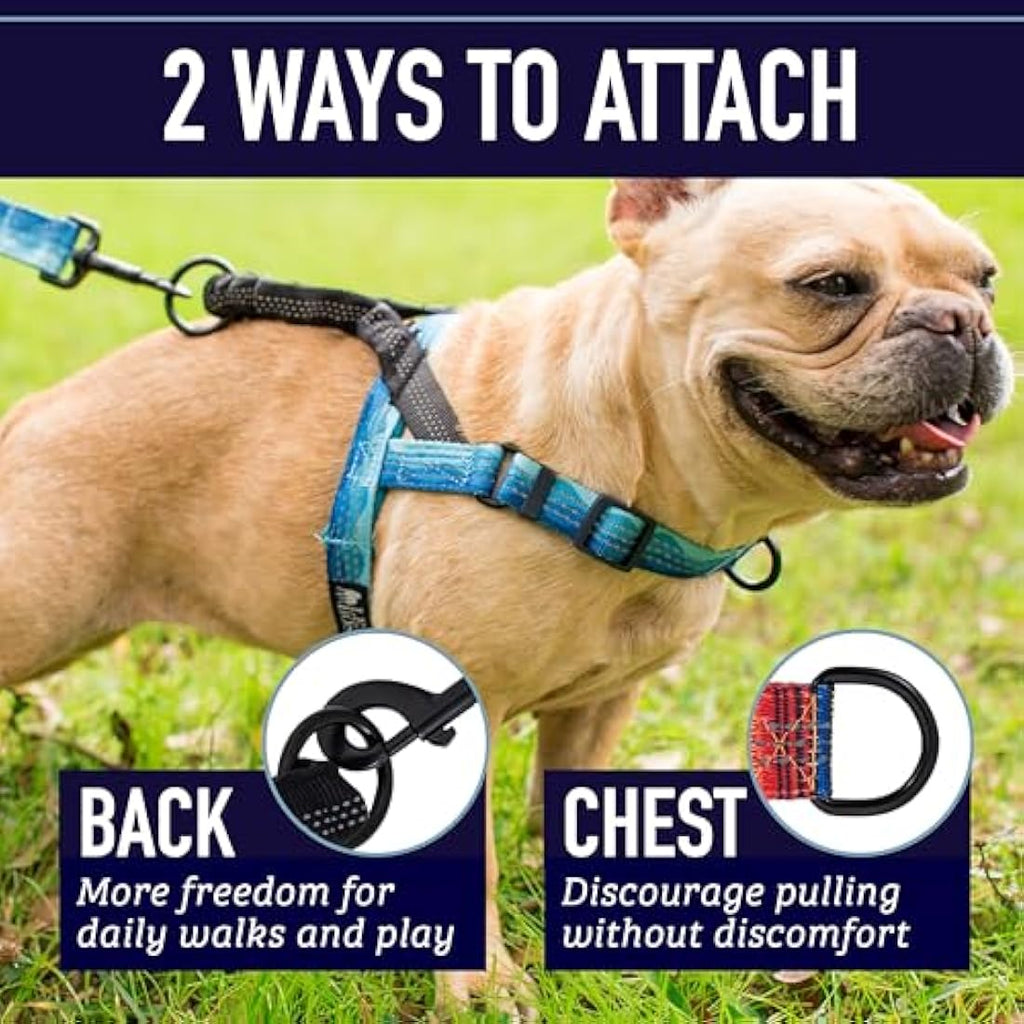 Leashboss No Pull Dog Harness – Reflective Shock Absorbing Bungee Handle