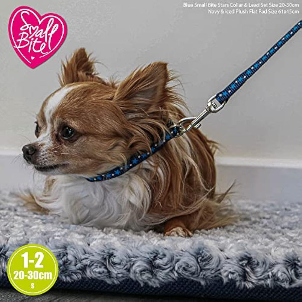 Ancol Small Bite Stars Puppy Collar and Lead Set - Blue Soft Webbing