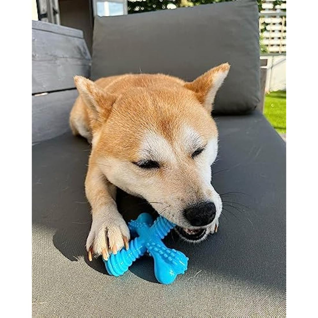 Nylabone X-Bone Durable Beef Dog Chew Toy for Small Dogs Up to 11kg