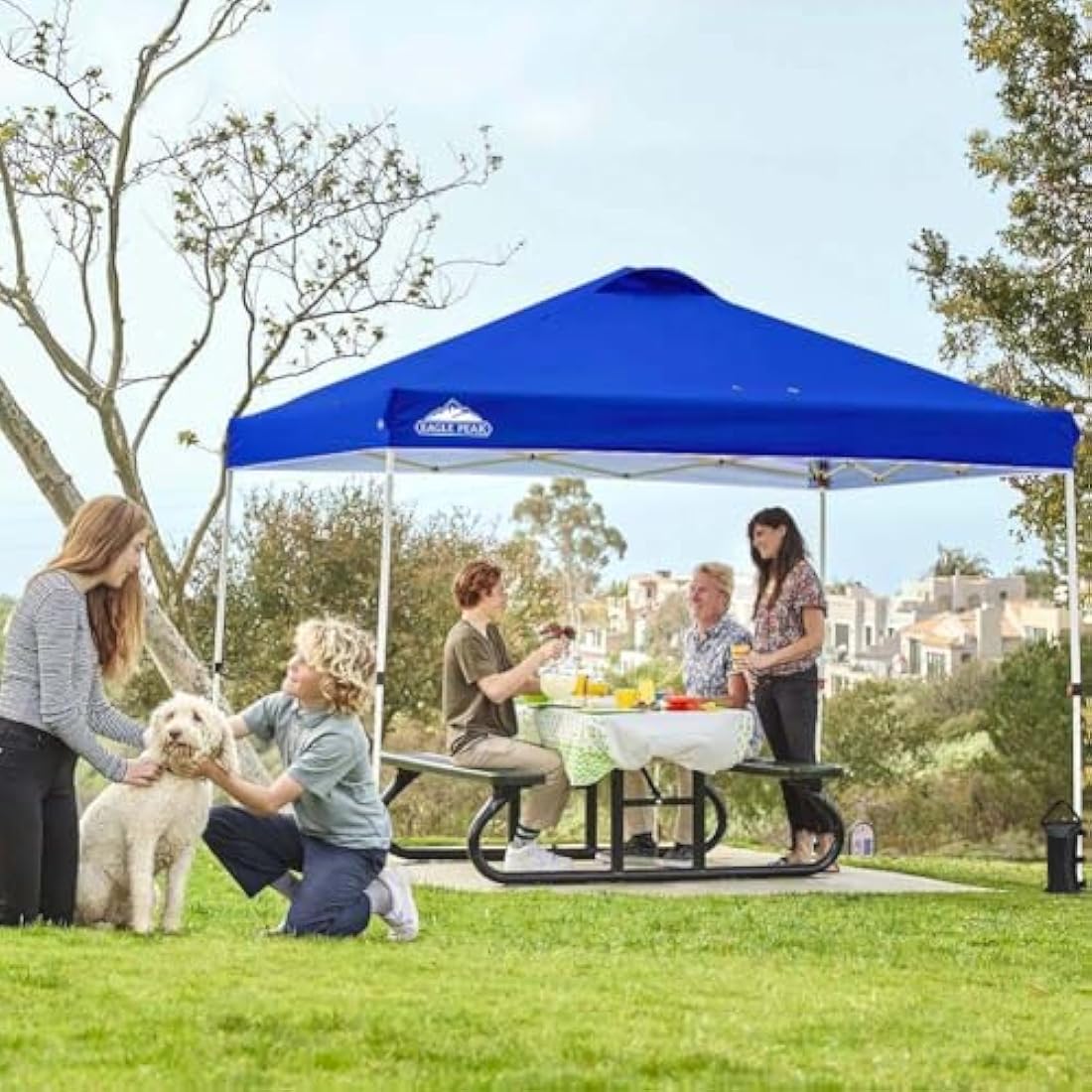 EAGLE PEAK 3m x 3m Pop Up Canopy Tent | Easy Setup Vented Outdoor Shelter