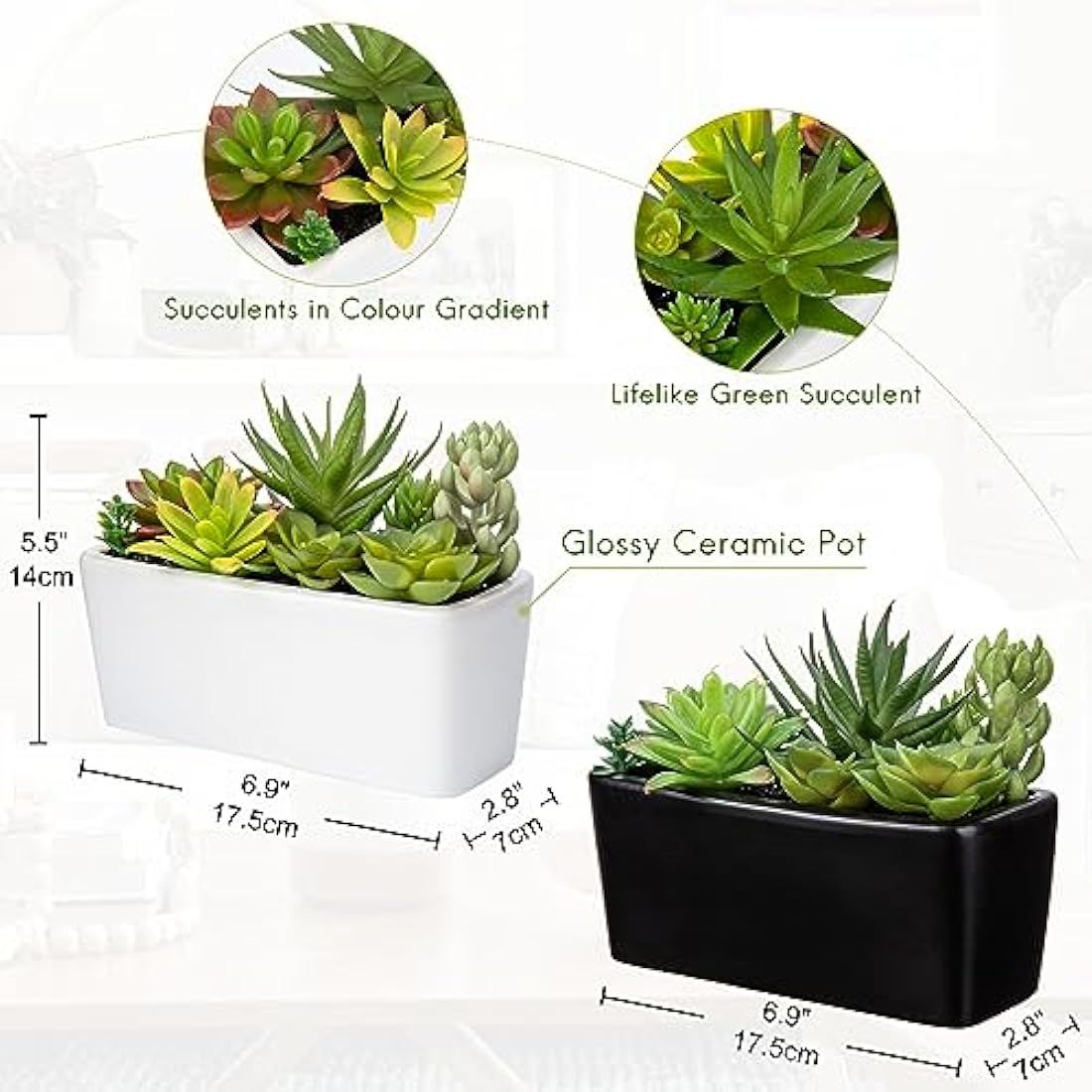 Briful 2-Pack Artificial Succulents in Black Ceramic Pots | Faux Plants