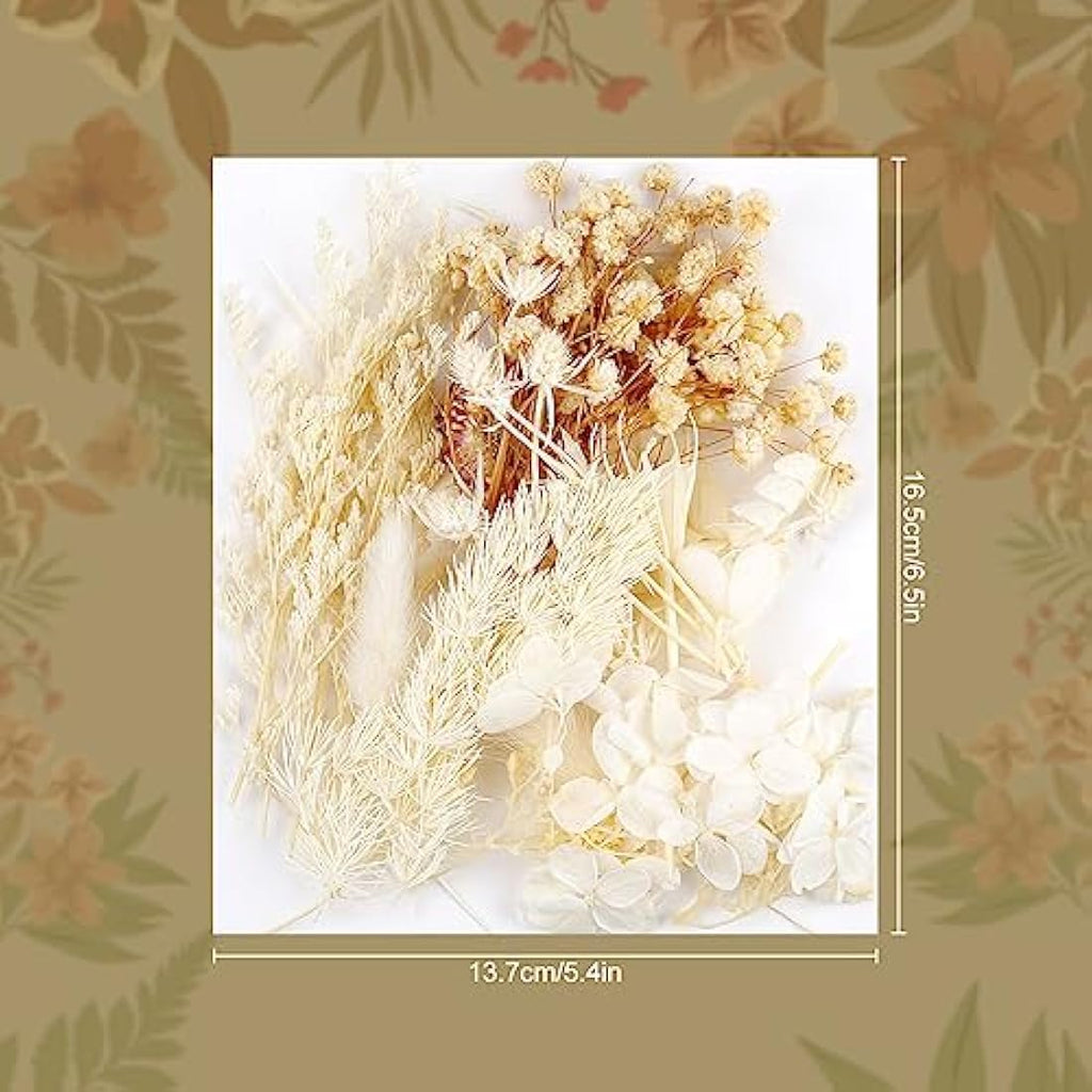 Natural Dried Flowers – Real Floral Bundle for DIY Crafts