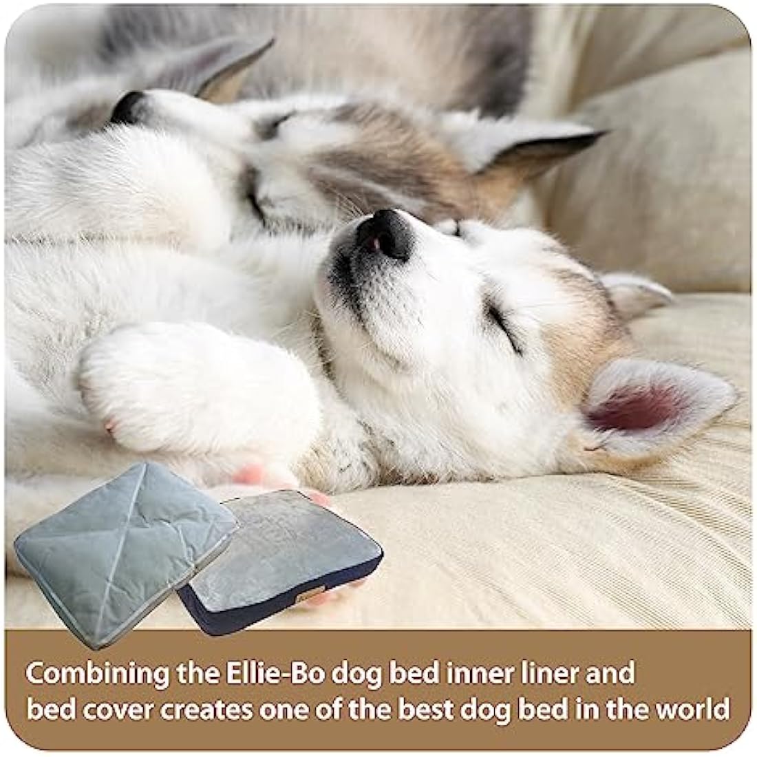 Ellie-Bo XL Dog Bed for 42-inch Crate | Washable Blue Corduroy Mat