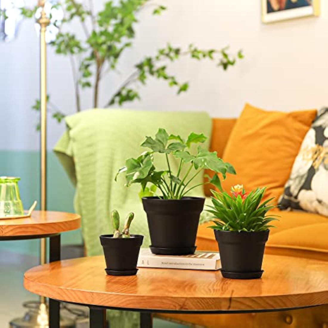 T4U Plastic Plant Pots with Saucers - 6-Pack Modern Indoor Planters, 16CM