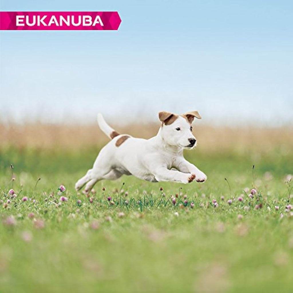 Eukanuba Puppy Small Breed Dry Dog Food - Fresh Chicken Recipe 3kg