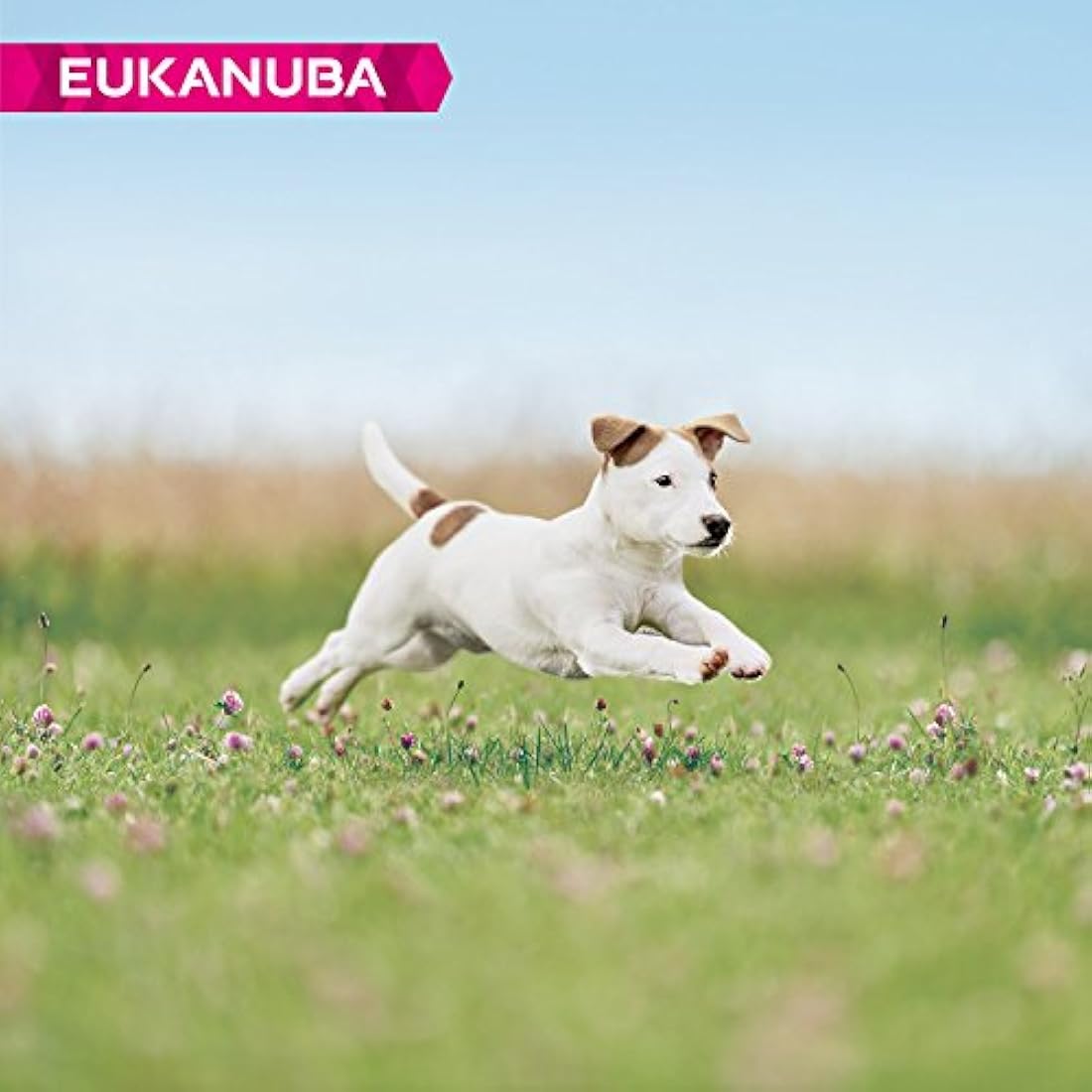 Eukanuba Puppy Small Breed Dry Dog Food - Fresh Chicken Recipe 3kg
