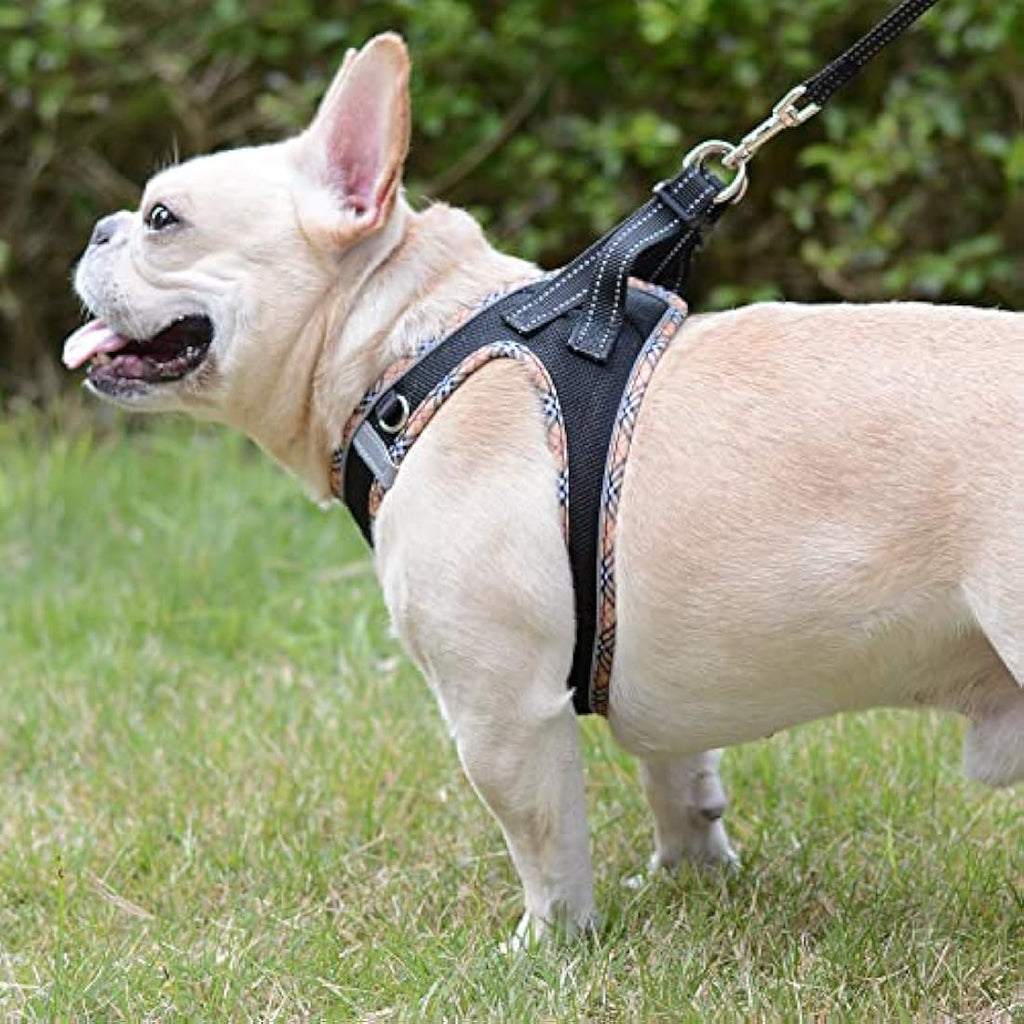 DORAMIO Step-in Dog Harness and Leash Set | Reflective Mesh Vest – XS