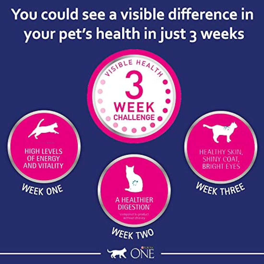 Purina One Dry Cat Food – Chicken Flavor – Urinary Tract Health 6kg
