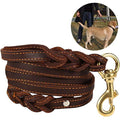 Braided Leather Dog Leash – Double Handle 6ft Training Lead