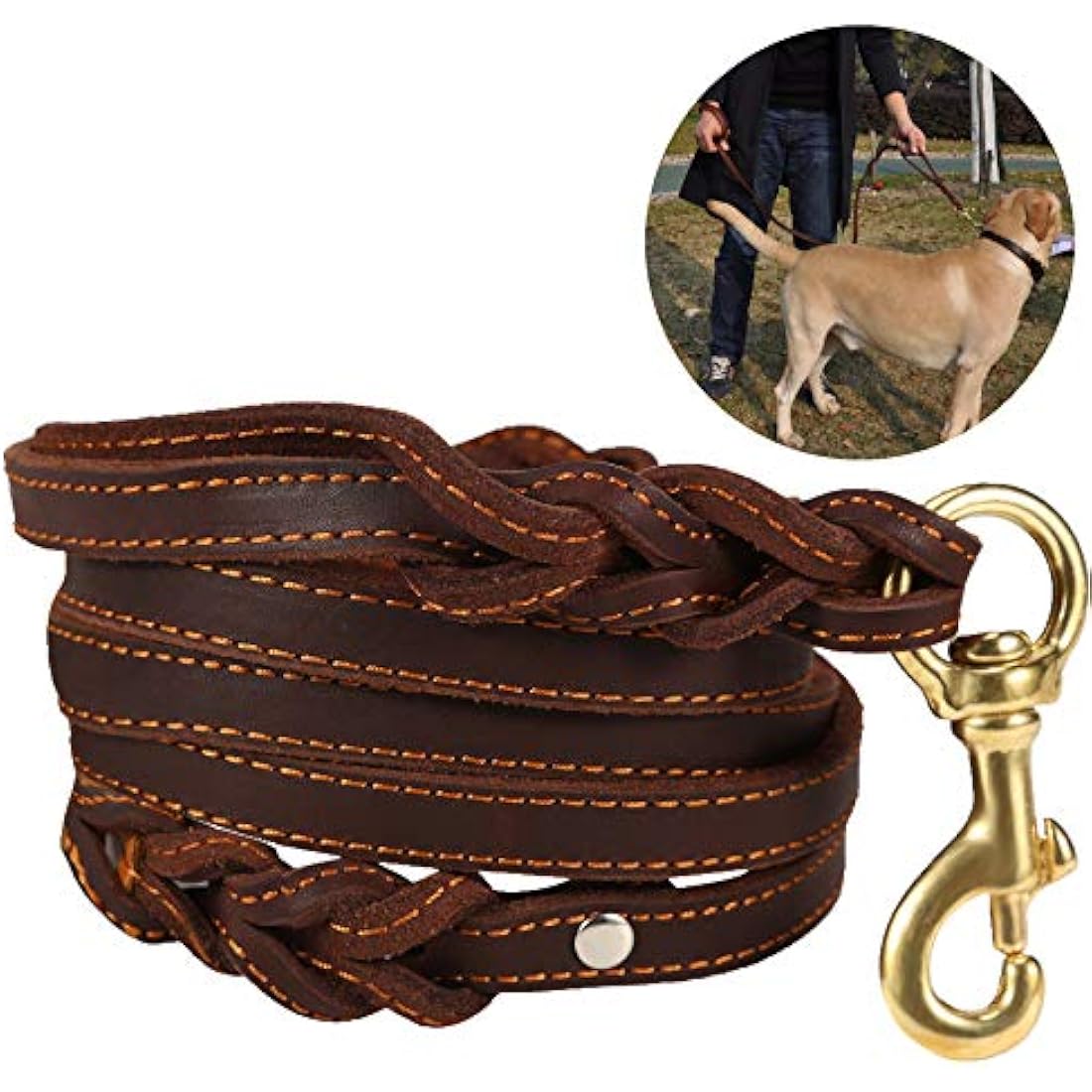 Braided Leather Dog Leash – Double Handle 6ft Training Lead
