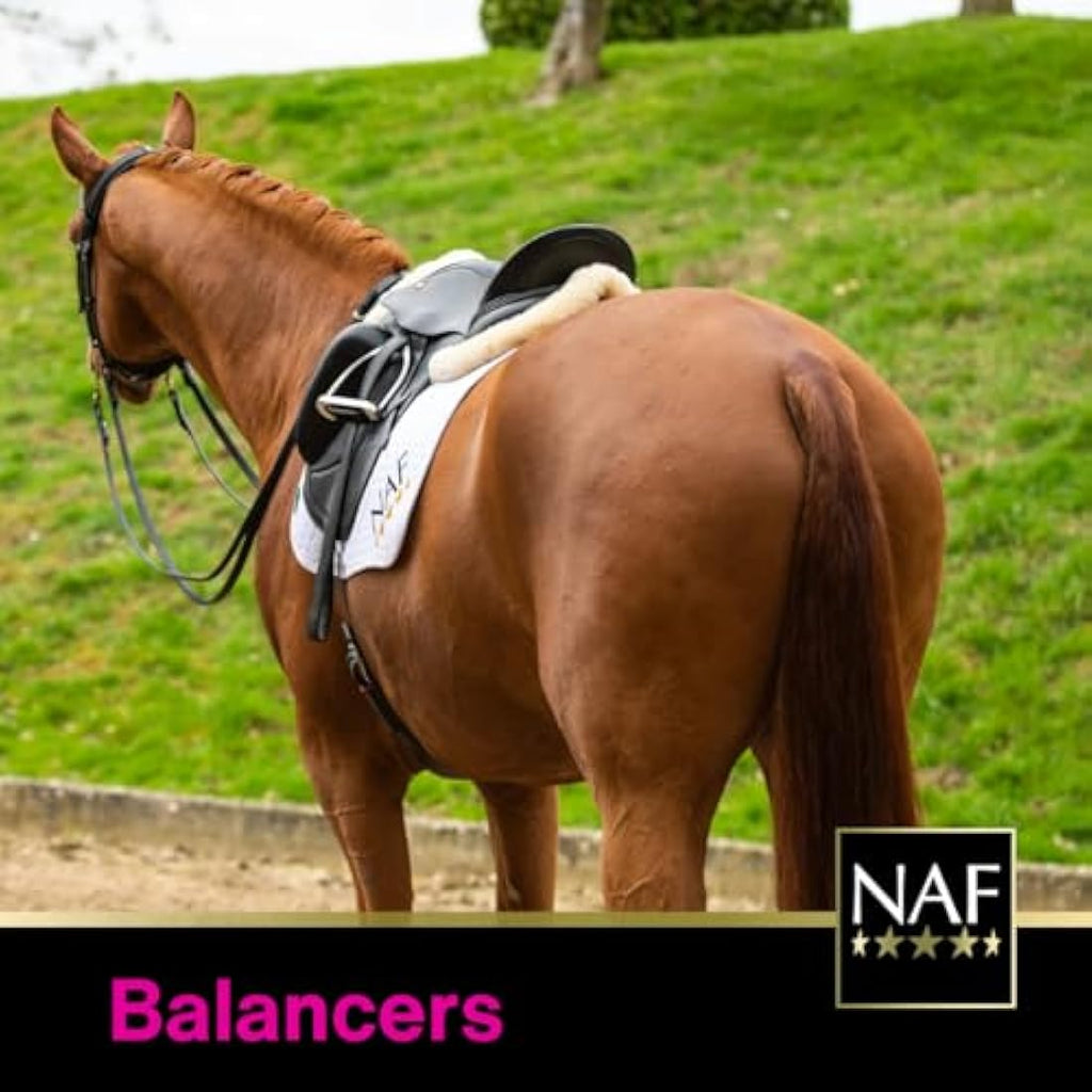 NAF Pink Powder 1.4kg – Horse Digestive Supplement with Probiotics