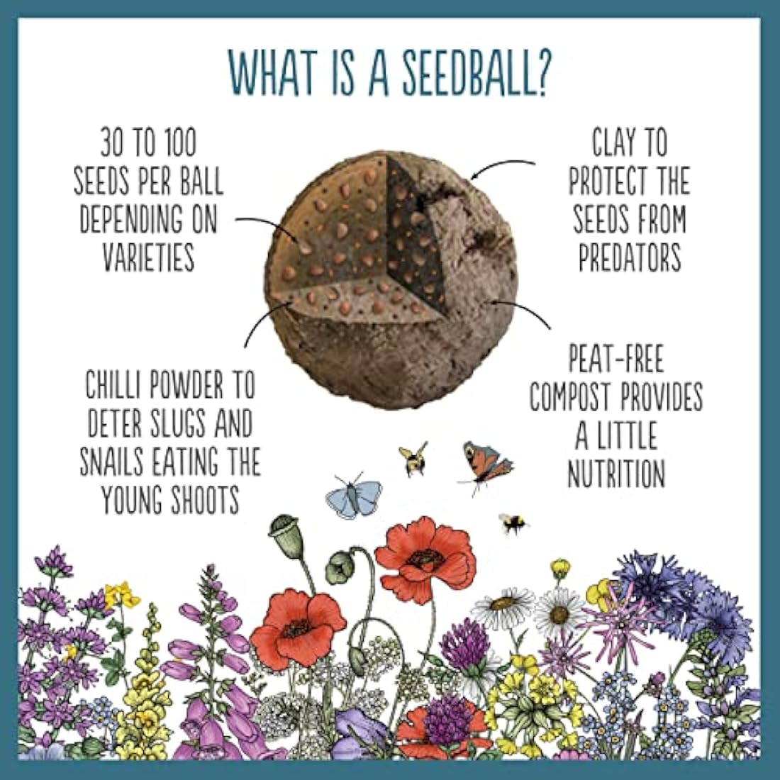 SEEDBALL Urban Meadow Wildflower Seed Bombs - 20 Native Flower Balls
