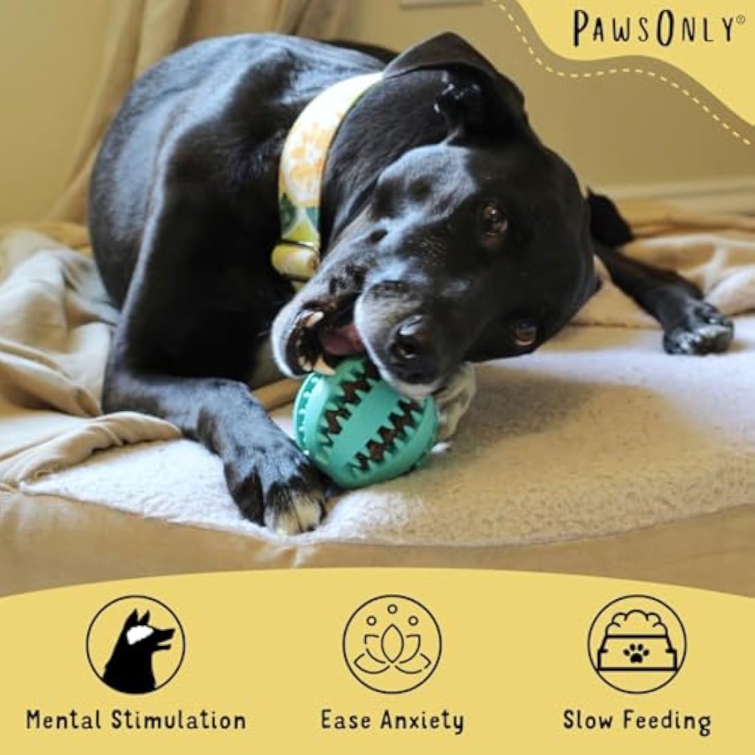 PawsOnly Dog Treat Ball Dispenser - Interactive Rubber Dental Toy, Green