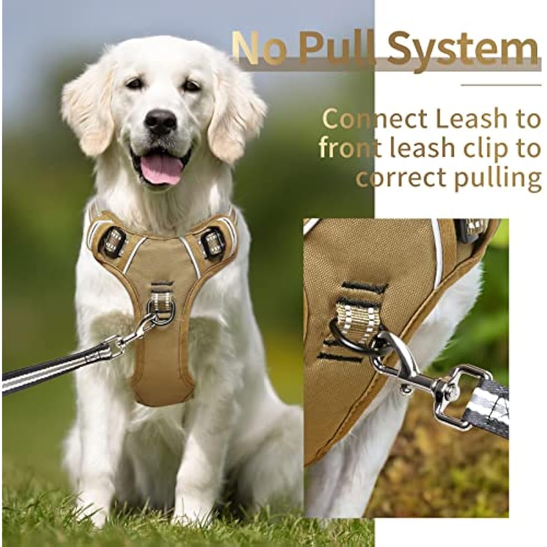 HEELE No Pull Dog Harness – Reflective Adjustable Puppy Vest, Black, XS