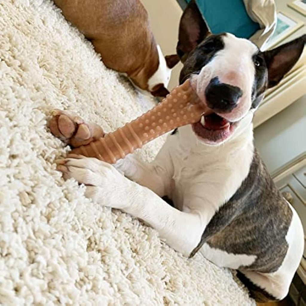 Nylabone Dura Chew Dog Toy - Bacon Flavour Durable Bone for XL Dogs