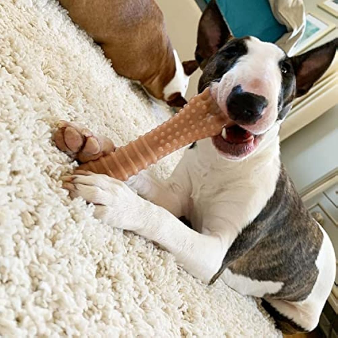 Nylabone Dura Chew Dog Toy - Bacon Flavour Durable Bone for XL Dogs