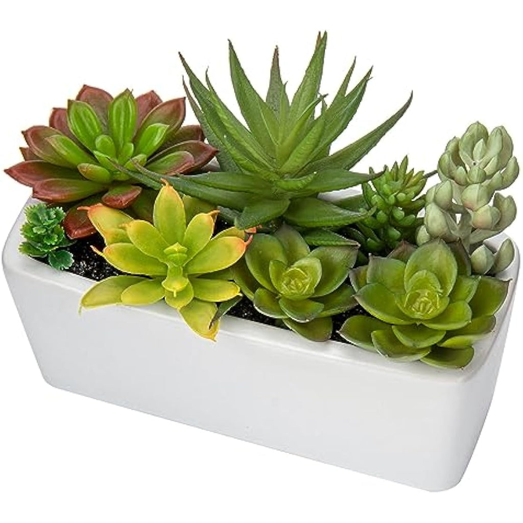 Briful Artificial Succulents in White Ceramic Pot - Faux Potted Plants