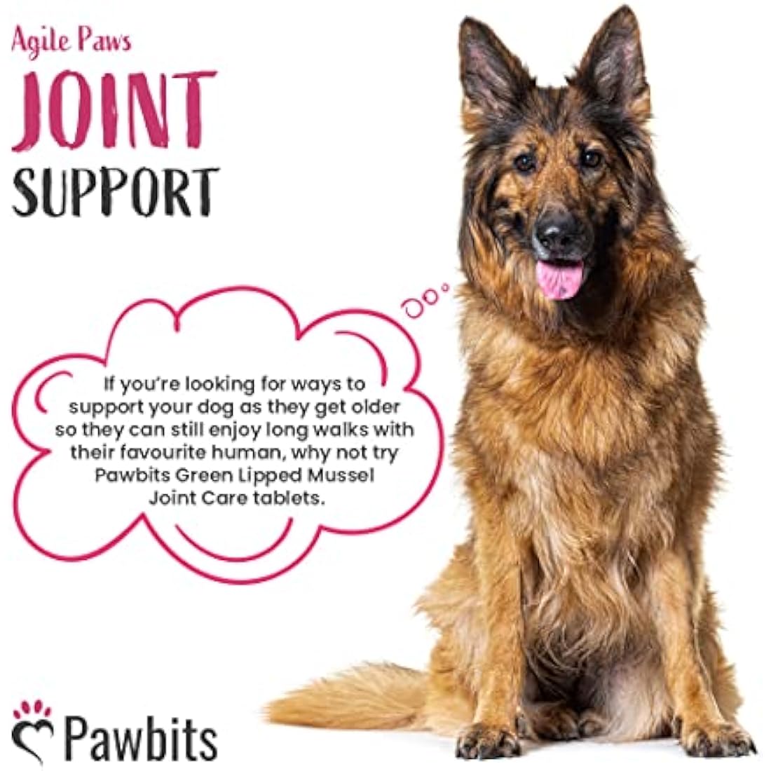 Senior Dog Hip & Joint Supplement - 300 Glucosamine Tablets
