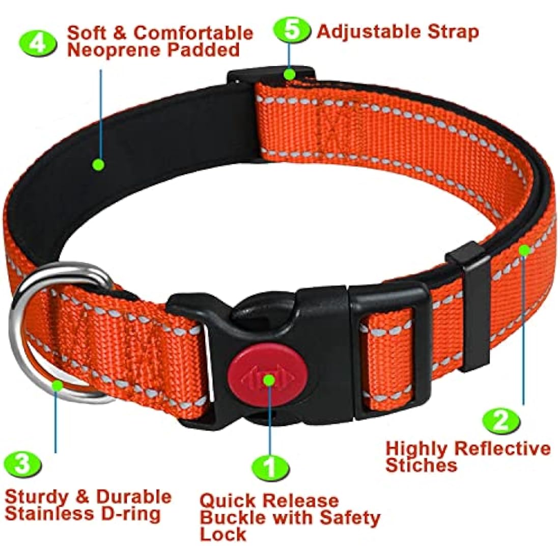Reflective Nylon Dog Collar – Padded & Adjustable, Orange, Medium