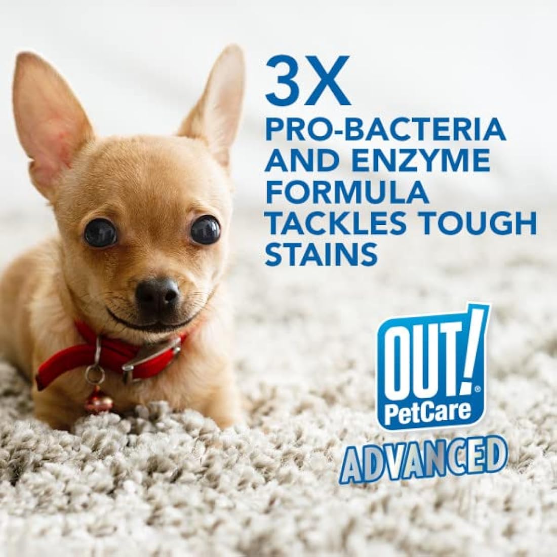 OUT! Pet Stain and Odour Remover – Enzymatic Pro-Bacteria Cleaner 500ml