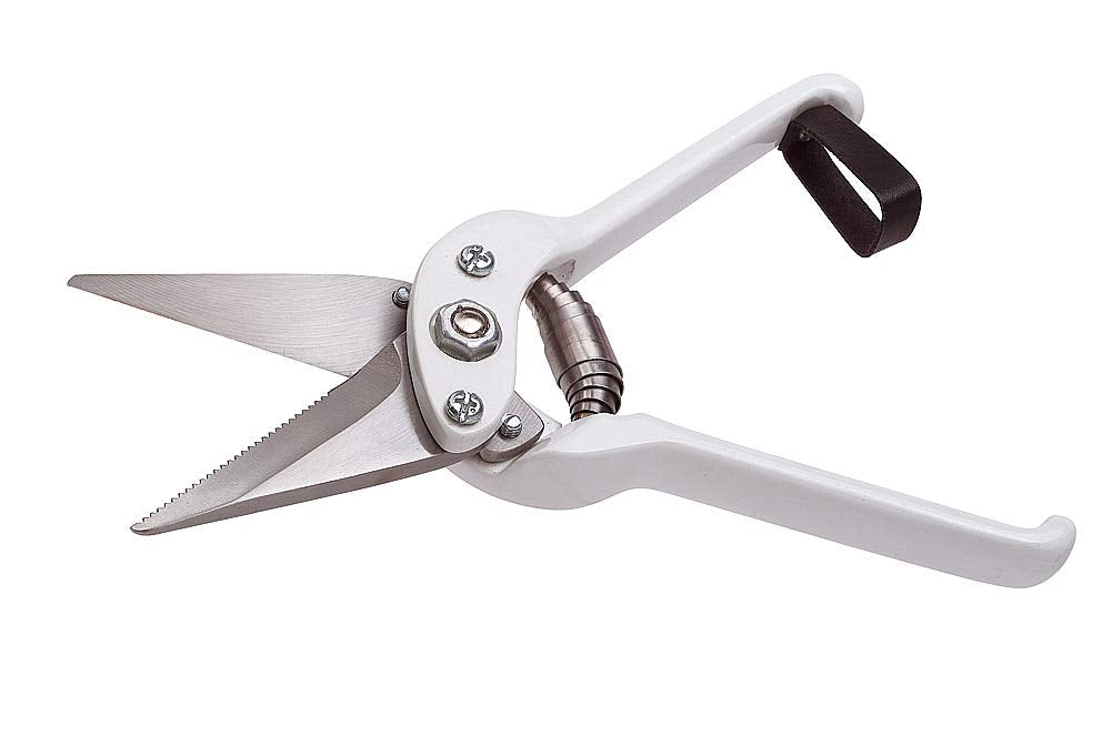 UKAL 106607001 Sheep Nail Shears – 6cm Notched Blade Foot Care Tool