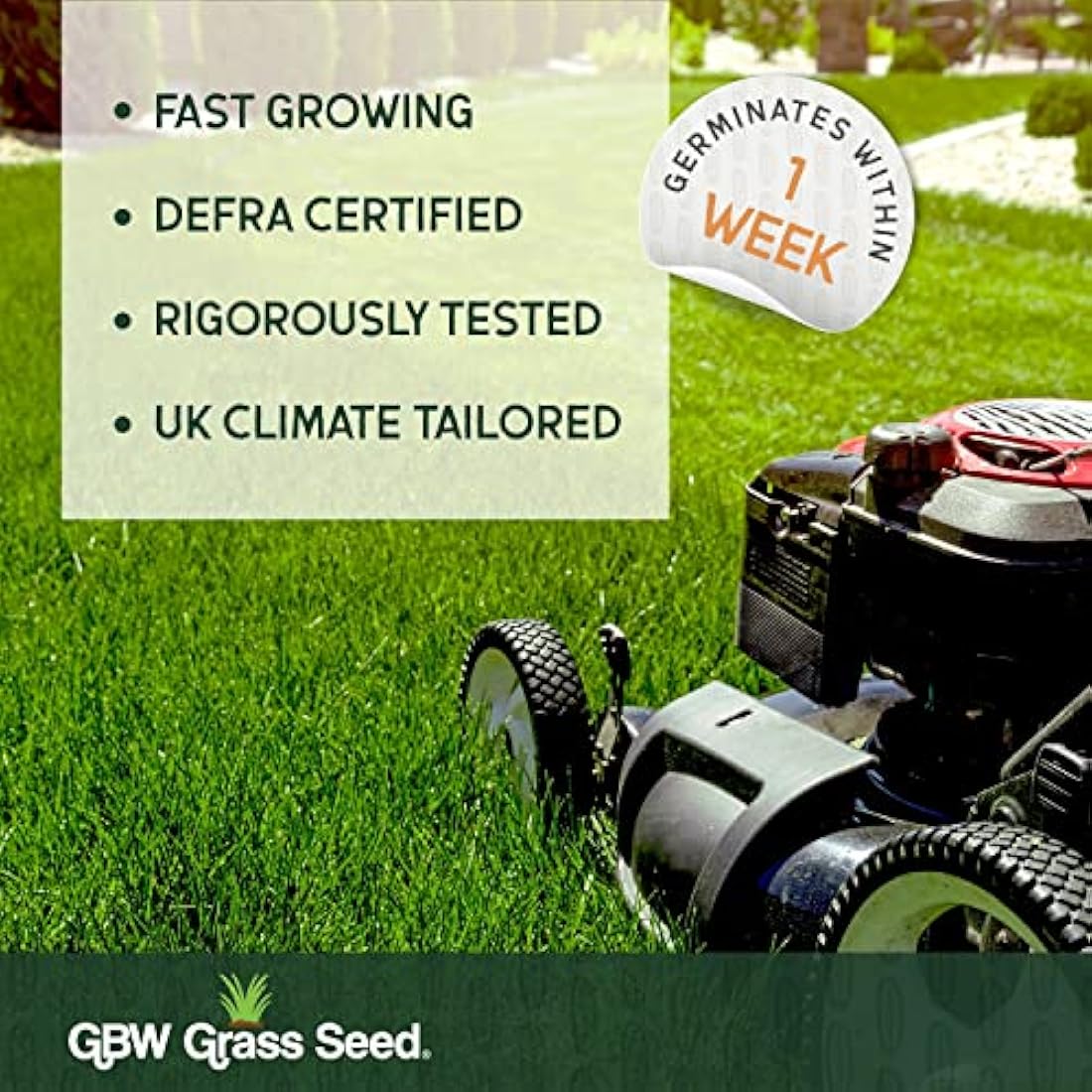 GBW Grass Seed 1kg | Hard Wearing & Fast Growing UK Lawn Seed Mix