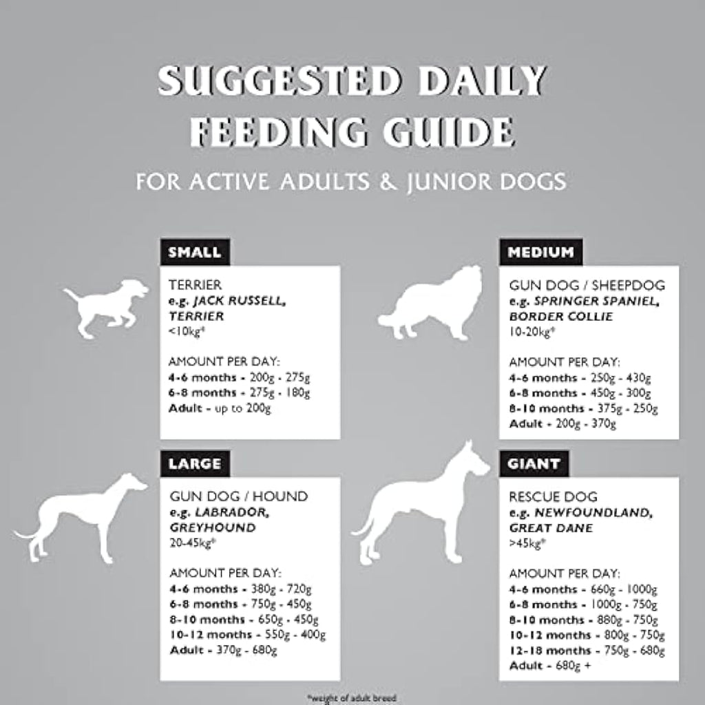 Dr. John Titanium Chicken Dry Dog Food – Active Adult & Junior 15kg